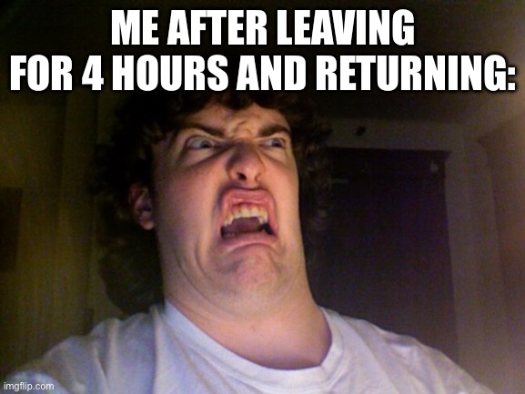 Oh No Meme | ME AFTER LEAVING FOR 4 HOURS AND RETURNING: | image tagged in memes,oh no | made w/ Imgflip meme maker