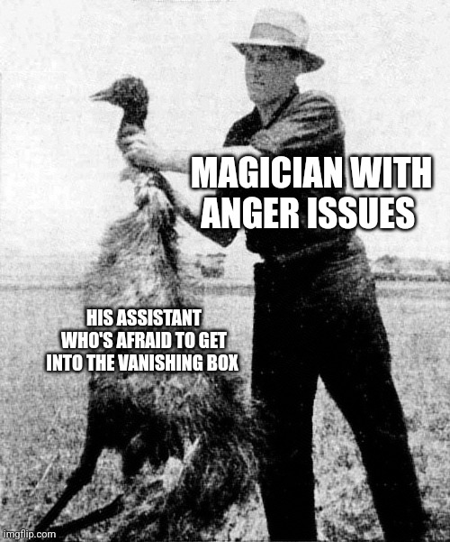 Magician with anger issues | MAGICIAN WITH ANGER ISSUES; HIS ASSISTANT WHO'S AFRAID TO GET INTO THE VANISHING BOX | image tagged in great emu war,jpfan102504 | made w/ Imgflip meme maker