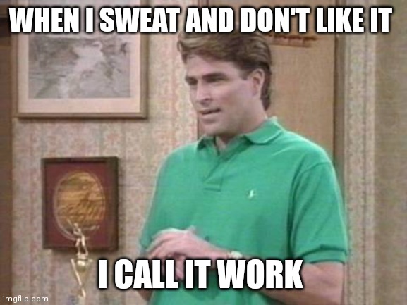 Don't like to work | WHEN I SWEAT AND DON'T LIKE IT; I CALL IT WORK | image tagged in funny memes | made w/ Imgflip meme maker