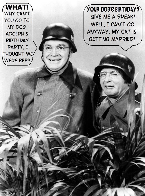 Are You a Dog or Cat Person? | image tagged in vince vance,dogs,cats,laugh-in,memes,bob hope | made w/ Imgflip meme maker