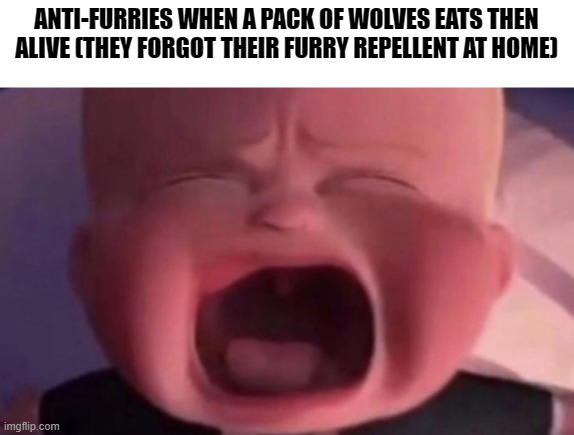 boss baby crying | ANTI-FURRIES WHEN A PACK OF WOLVES EATS THEN ALIVE (THEY FORGOT THEIR FURRY REPELLENT AT HOME) | image tagged in boss baby crying,anti furry,dank memes | made w/ Imgflip meme maker