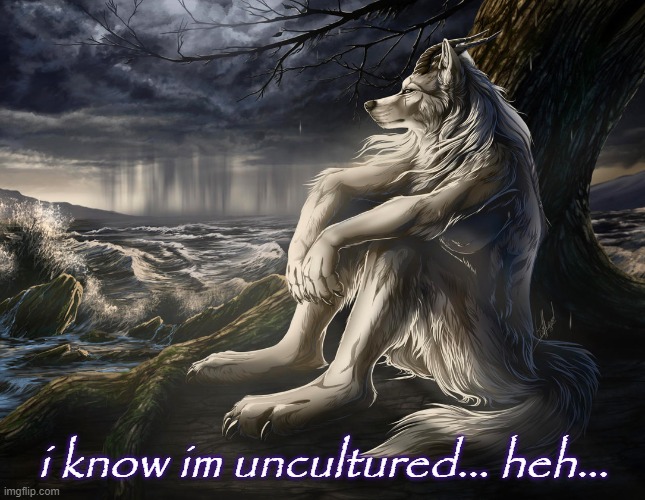 sad wolf | i know im uncultured... heh... | image tagged in sad wolf | made w/ Imgflip meme maker