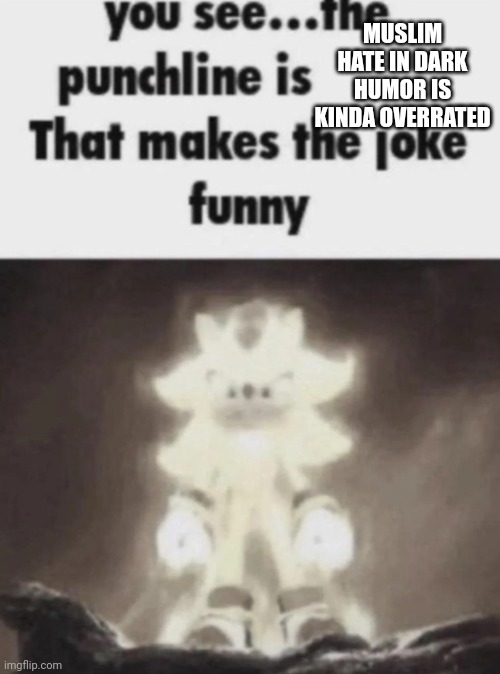 You see the punchline is that makes the joke funny shadow | MUSLIM HATE IN DARK HUMOR IS KINDA OVERRATED | image tagged in you see the punchline is that makes the joke funny shadow | made w/ Imgflip meme maker