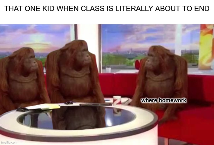 always on fridays last lesson *intensively pumps shotgun* | THAT ONE KID WHEN CLASS IS LITERALLY ABOUT TO END; where homework | image tagged in where monkey | made w/ Imgflip meme maker