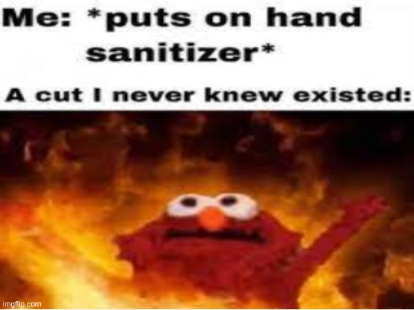 me | image tagged in elmo fire | made w/ Imgflip meme maker
