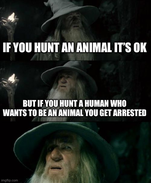 Confused Gandalf Meme | IF YOU HUNT AN ANIMAL IT’S OK BUT IF YOU HUNT A HUMAN WHO WANTS TO BE AN ANIMAL YOU GET ARRESTED | image tagged in memes,confused gandalf | made w/ Imgflip meme maker