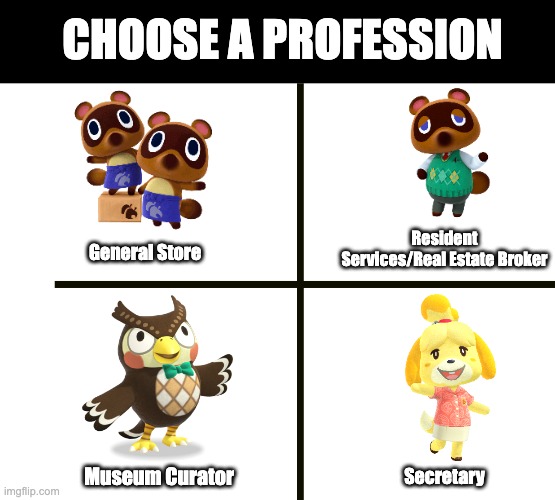 What's your pick? | CHOOSE A PROFESSION; Resident Services/Real Estate Broker; General Store; Museum Curator; Secretary | image tagged in animal crossing | made w/ Imgflip meme maker