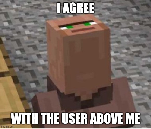 Minecraft Villager Looking Up | I AGREE WITH THE USER ABOVE ME | image tagged in minecraft villager looking up | made w/ Imgflip meme maker