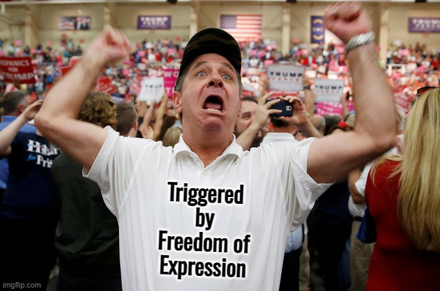 Trump Supporter Triggered | Triggered by Freedom of Expression | image tagged in trump supporter triggered | made w/ Imgflip meme maker