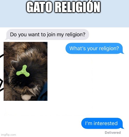 whats your religion | GATO RELIGIÓN | image tagged in whats your religion | made w/ Imgflip meme maker