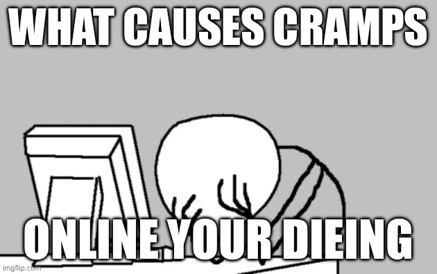 this is so true XD | WHAT CAUSES CRAMPS; ONLINE YOUR DIETING | image tagged in memes,computer guy facepalm | made w/ Imgflip meme maker