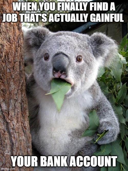 meme | WHEN YOU FINALLY FIND A JOB THAT'S ACTUALLY GAINFUL; YOUR BANK ACCOUNT | image tagged in memes,surprised koala | made w/ Imgflip meme maker