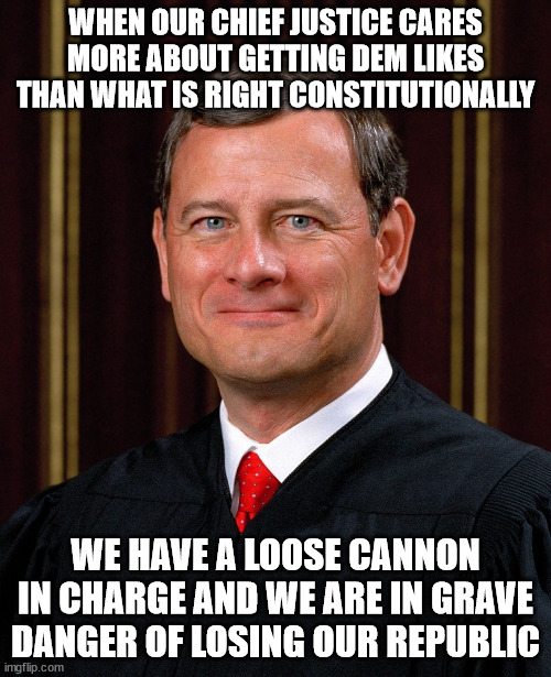 Ever heard of the Peter Principle? | WHEN OUR CHIEF JUSTICE CARES MORE ABOUT GETTING DEM LIKES THAN WHAT IS RIGHT CONSTITUTIONALLY; WE HAVE A LOOSE CANNON IN CHARGE AND WE ARE IN GRAVE DANGER OF LOSING OUR REPUBLIC | image tagged in justice john roberts,traitor,dangerous | made w/ Imgflip meme maker