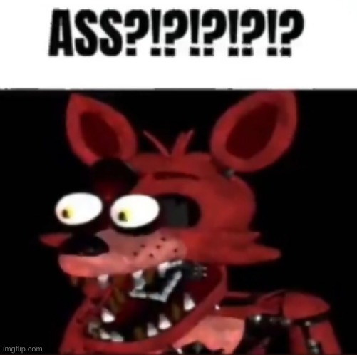 ASS?!??!?!? | image tagged in fnaf foxy ass | made w/ Imgflip meme maker