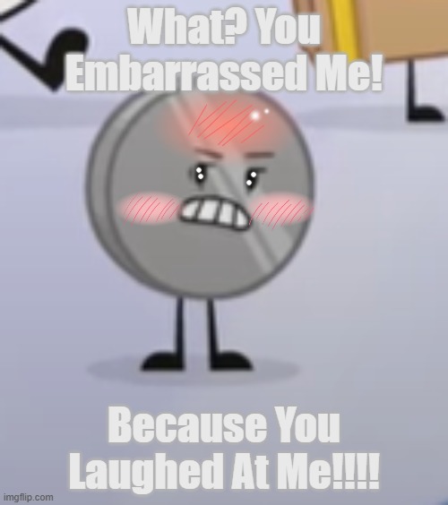 Embarrassed Nickel | What? You Embarrassed Me! Because You Laughed At Me!!!! | image tagged in angry nickel | made w/ Imgflip meme maker