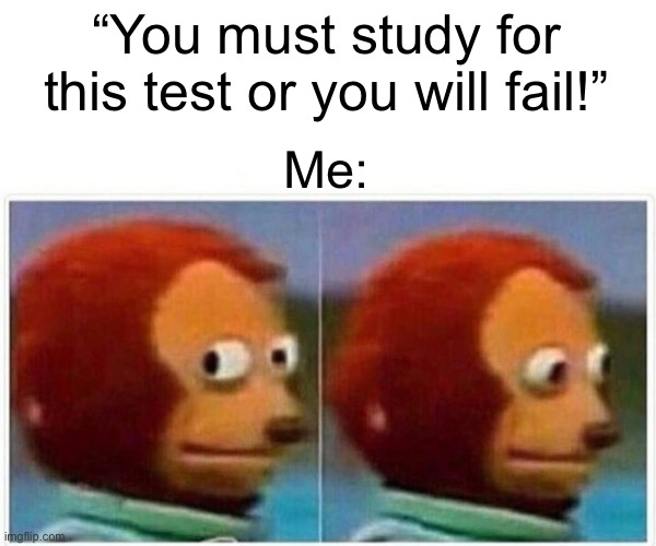 Monkey Puppet | “You must study for this test or you will fail!”; Me: | image tagged in memes,monkey puppet | made w/ Imgflip meme maker