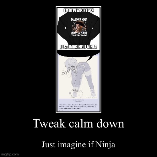 Tweak calm down | Just imagine if Ninja | image tagged in funny,demotivationals | made w/ Imgflip demotivational maker