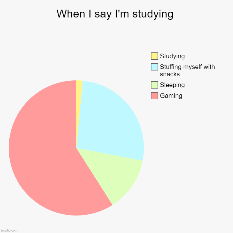 When I say I'm studying | Gaming, Sleeping, Stuffing myself with snacks, Studying | image tagged in charts,pie charts | made w/ Imgflip chart maker