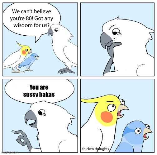 Custom ur wise cockatoo | You are sussy bakas | image tagged in custom ur wise cockatoo | made w/ Imgflip meme maker