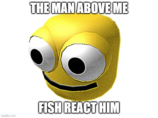 You know what to do | THE MAN ABOVE ME; FISH REACT HIM | image tagged in fish react him | made w/ Imgflip meme maker