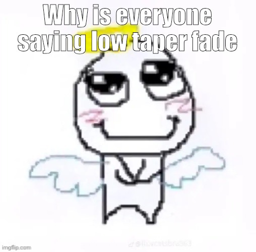 Lol | Why is everyone saying low taper fade | image tagged in angelically | made w/ Imgflip meme maker