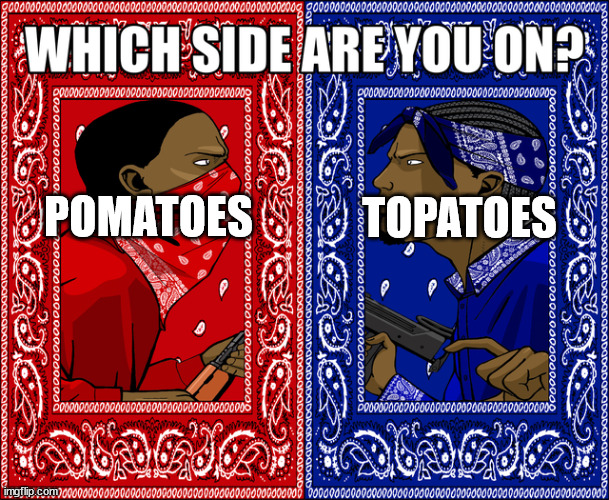 WHICH SIDE ARE YOU ON? | POMATOES; TOPATOES | image tagged in which side are you on | made w/ Imgflip meme maker