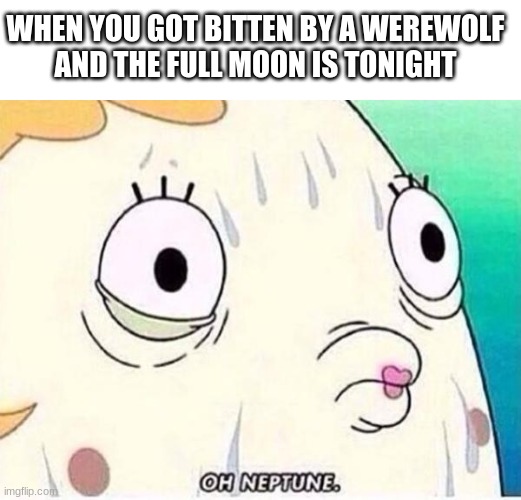 Werewolves In A Nutshell | WHEN YOU GOT BITTEN BY A WEREWOLF
AND THE FULL MOON IS TONIGHT | image tagged in blank white template,oh neptune | made w/ Imgflip meme maker