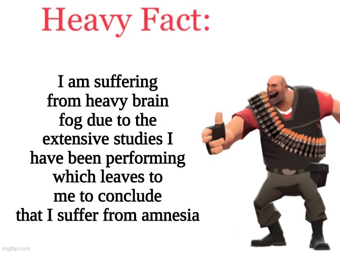 Heavy fact | I am suffering from heavy brain fog due to the extensive studies I have been performing which leaves to me to conclude that I suffer from amnesia | image tagged in heavy fact | made w/ Imgflip meme maker