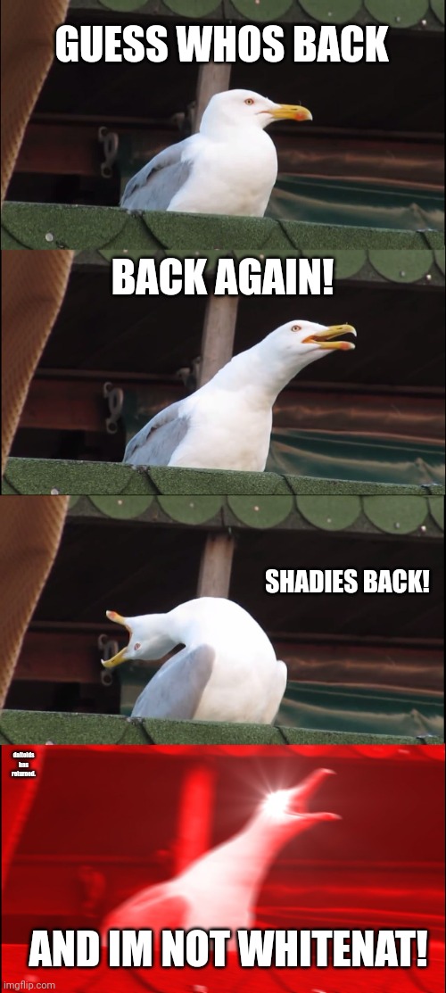 I have returned. | GUESS WHOS BACK; BACK AGAIN! SHADIES BACK! daltoids has returned. AND IM NOT WHITENAT! | image tagged in memes,inhaling seagull | made w/ Imgflip meme maker