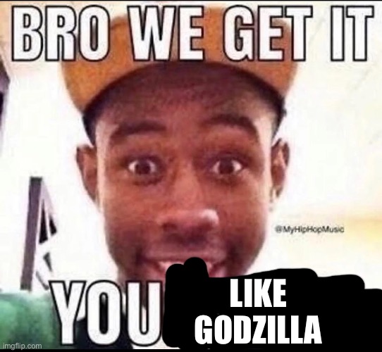 BRO WE GET IT YOU'RE GAY | LIKE GODZILLA | image tagged in bro we get it you're gay | made w/ Imgflip meme maker