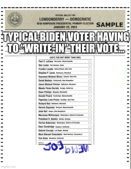 DNC identified NH primary as not happening forcing their sycophants to break out the crayons… | TYPICAL BIDEN VOTER HAVING TO “WRITE-IN” THEIR VOTE… | image tagged in election 2024,joe biden,democrats | made w/ Imgflip meme maker