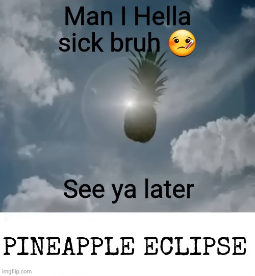 PINEAPPLE_ECLIPSE | Man I Hella sick bruh 🤒; See ya later | image tagged in pineapple_eclipse | made w/ Imgflip meme maker