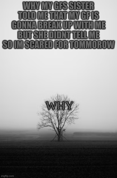 why | WHY MY GFS SISTER TOLD ME THAT MY GF IS GONNA BREAK UP WITH ME BUT SHE DIDNT TELL ME SO IM SCARED FOR TOMMOROW; WHY | image tagged in memes | made w/ Imgflip meme maker