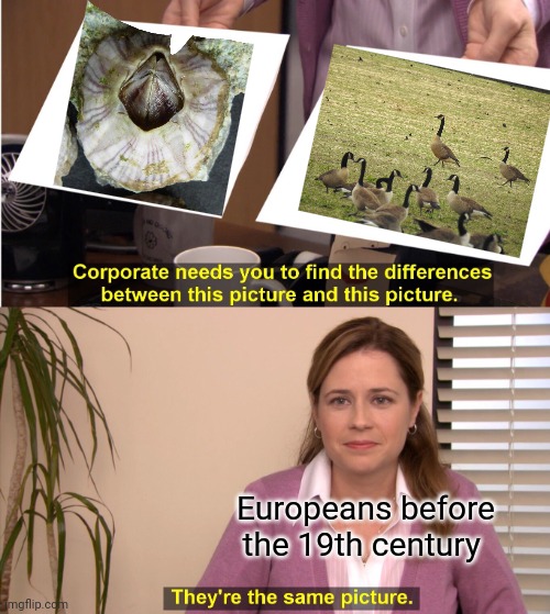 They seriously had the idea that barnacles grew up to be geese. | Europeans before the 19th century | image tagged in memes,they're the same picture,animals,ocean,pokemon more evolutions,and now for something completely different | made w/ Imgflip meme maker