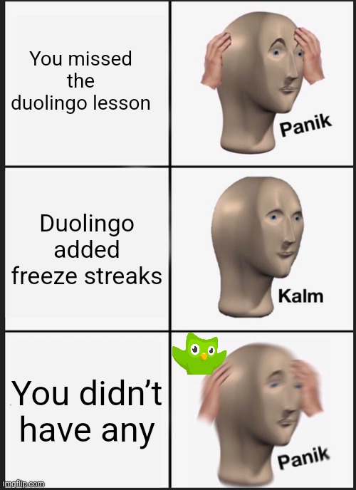 Don't miss lessons | You missed the duolingo lesson; Duolingo added freeze streaks; You didn’t have any | image tagged in memes,panik kalm panik | made w/ Imgflip meme maker