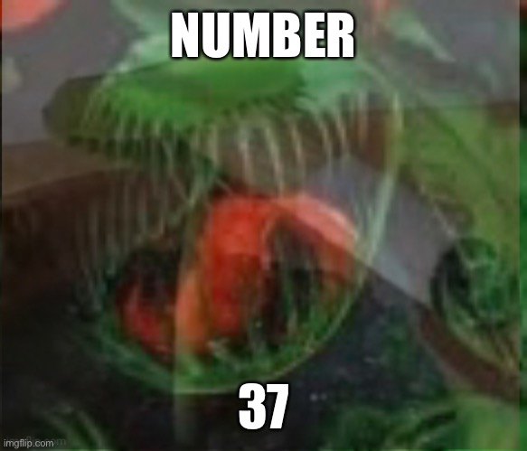 Screaming Fly Trap | NUMBER; 37 | image tagged in screaming fly trap | made w/ Imgflip meme maker