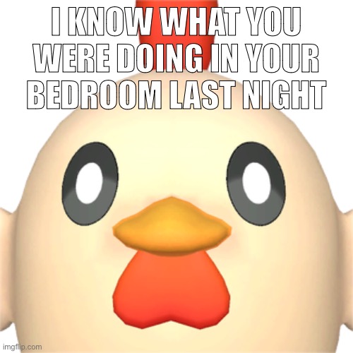Chikipi | I KNOW WHAT YOU WERE DOING IN YOUR BEDROOM LAST NIGHT | image tagged in chikipi | made w/ Imgflip meme maker
