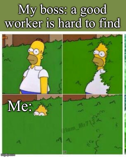 Ah yes… I’m very good | My boss: a good worker is hard to find; Me: | image tagged in homer hides,work | made w/ Imgflip meme maker
