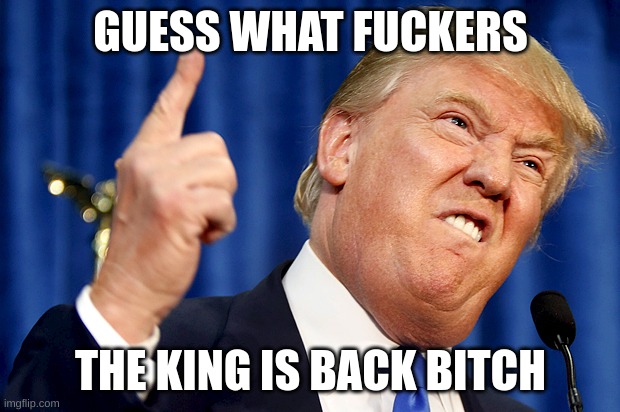 Donald Trump | GUESS WHAT FUCKERS THE KING IS BACK BITCH | image tagged in donald trump | made w/ Imgflip meme maker