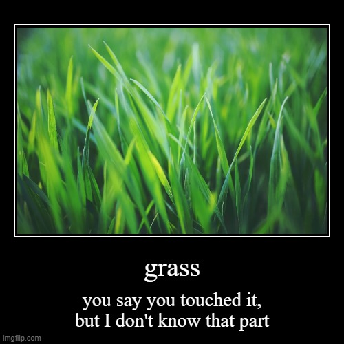 grass | you say you touched it, but I don't know that part | image tagged in funny,demotivationals | made w/ Imgflip demotivational maker