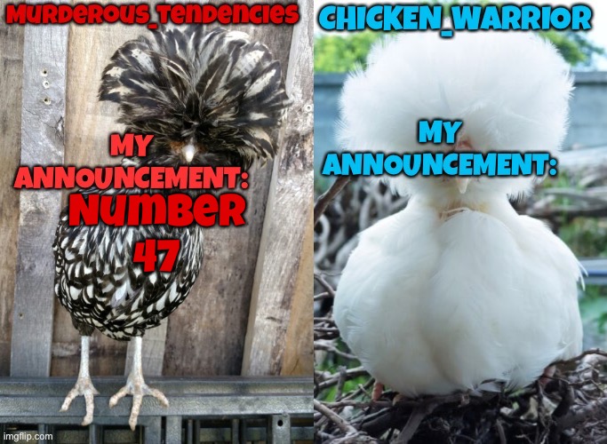 Chicken and murderous | Number 47 | image tagged in chicken and murderous | made w/ Imgflip meme maker