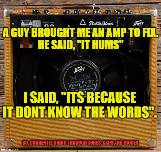 Amp Repair | A GUY BROUGHT ME AN AMP TO FIX.
HE SAID, "IT HUMS"; I SAID, "ITS BECAUSE IT DONT KNOW THE WORDS". SO, CURRENTLY GOING THROUGH TUBES, CAPS AND DIODES | image tagged in peavey,fender,badcat,matchless,5150,marshall | made w/ Imgflip meme maker