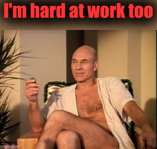 Sexual picard | I'm hard at work too | image tagged in sexual picard | made w/ Imgflip meme maker
