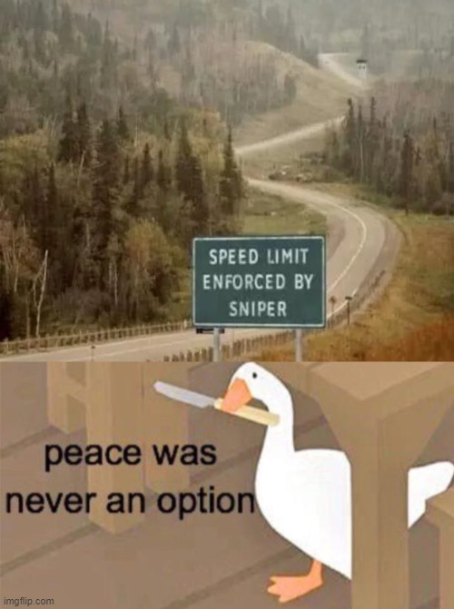 untitled goose peace was never an option | image tagged in untitled goose peace was never an option | made w/ Imgflip meme maker