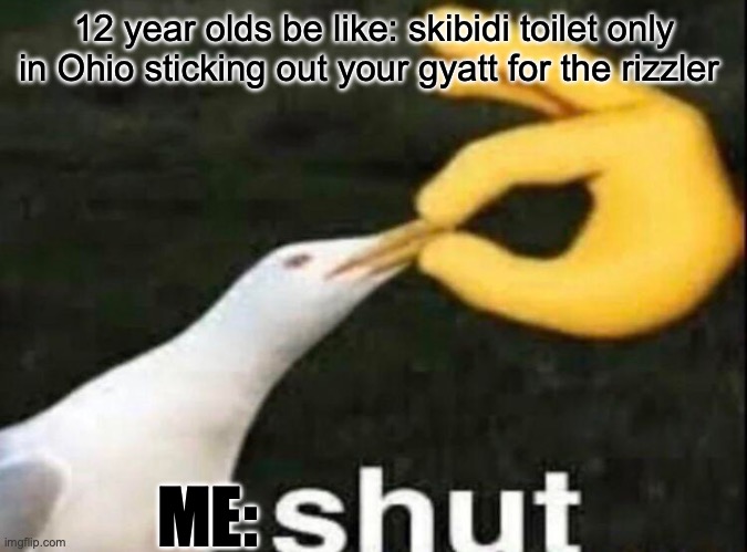 SHUT | 12 year olds be like: skibidi toilet only in Ohio sticking out your gyatt for the rizzler; ME: | image tagged in shut | made w/ Imgflip meme maker