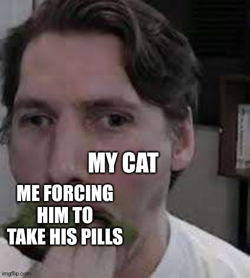 eat lettuce | MY CAT; ME FORCING HIM TO TAKE HIS PILLS | image tagged in eat lettuce | made w/ Imgflip meme maker