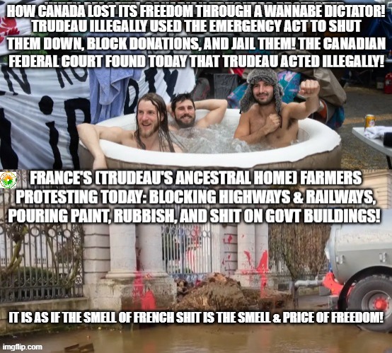 politics | HOW CANADA LOST ITS FREEDOM THROUGH A WANNABE DICTATOR! IT IS AS IF THE SMELL OF FRENCH SHIT IS THE SMELL & PRICE OF FREEDOM! | image tagged in political meme | made w/ Imgflip meme maker