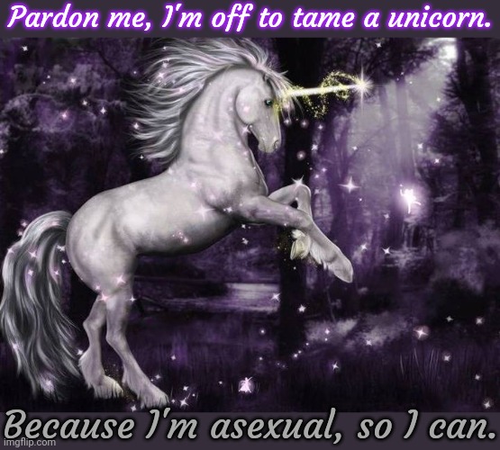 Only the pure can ride a unicorn. | Pardon me, I'm off to tame a unicorn. Because I'm asexual, so I can. | image tagged in unicorn 2,innocence,mythology,legendary,holy | made w/ Imgflip meme maker