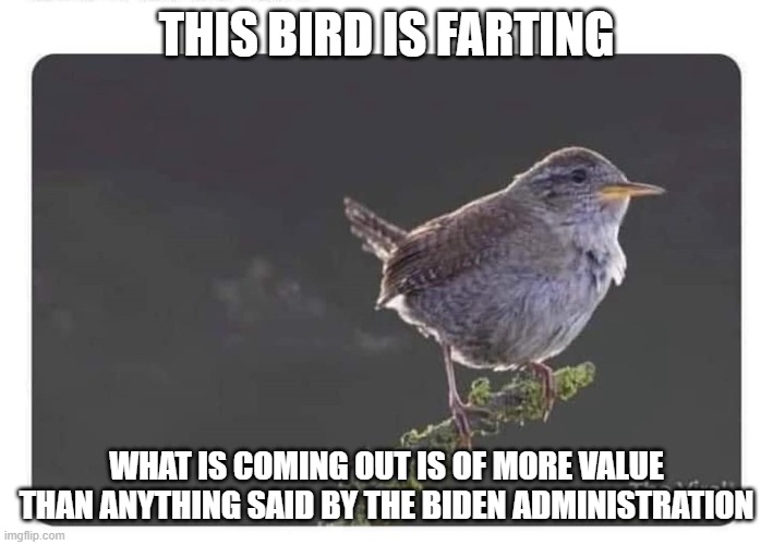 Bird fart biden | THIS BIRD IS FARTING; WHAT IS COMING OUT IS OF MORE VALUE THAN ANYTHING SAID BY THE BIDEN ADMINISTRATION | image tagged in bird fart,biden | made w/ Imgflip meme maker
