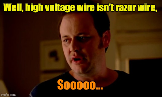 Jake from state farm | Well, high voltage wire isn't razor wire, Sooooo... | image tagged in jake from state farm | made w/ Imgflip meme maker